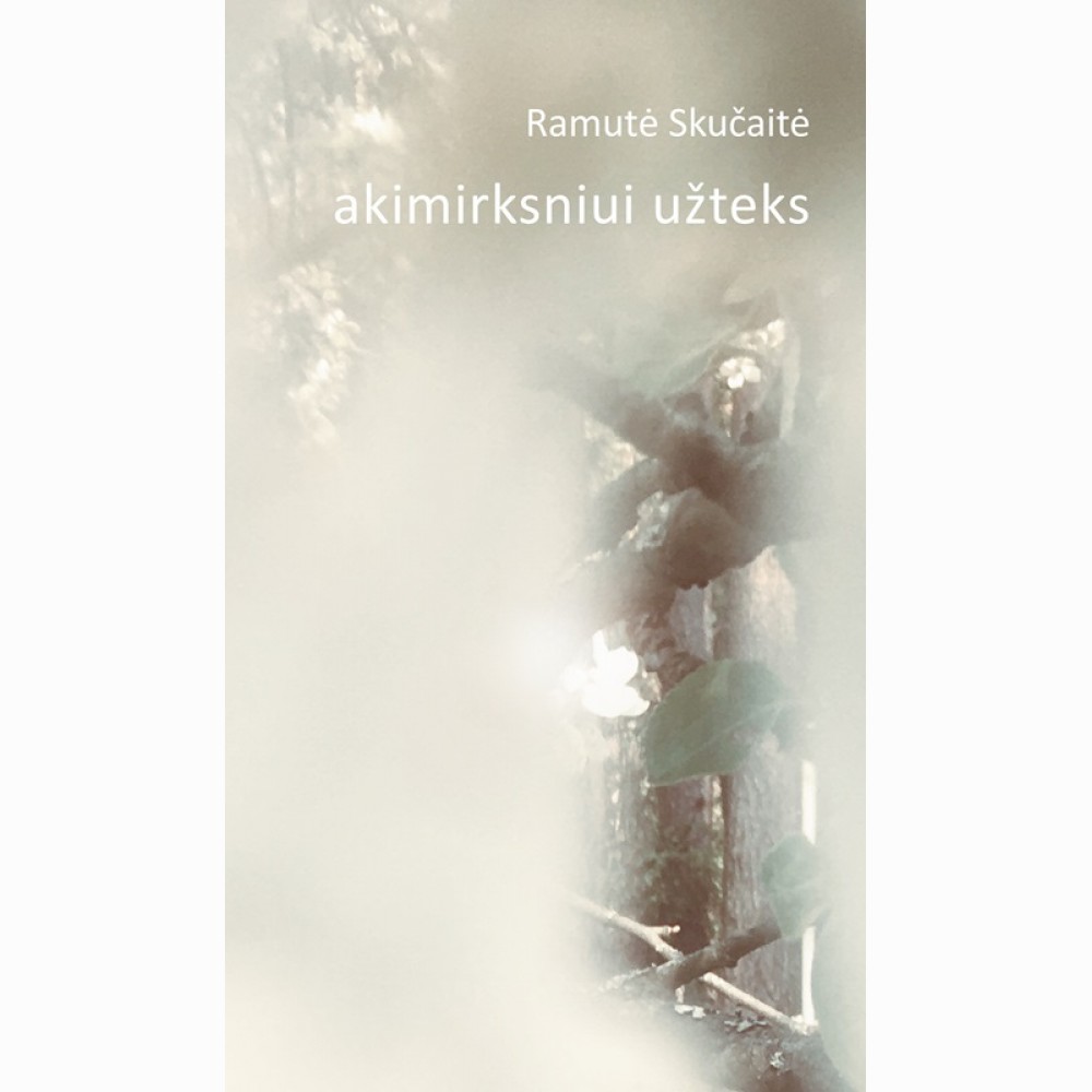Akimirksniui užteks