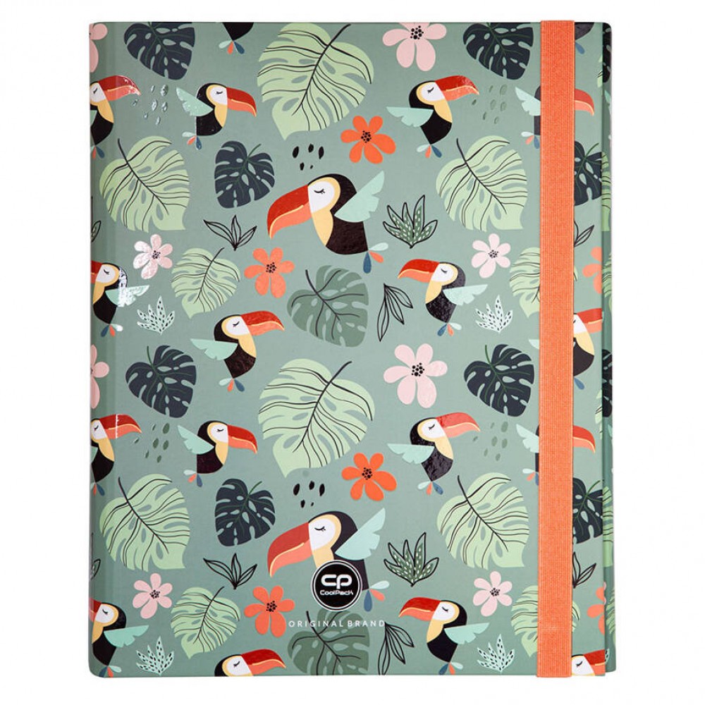 Kartoninis aplankas Toucans, A4, su gumele