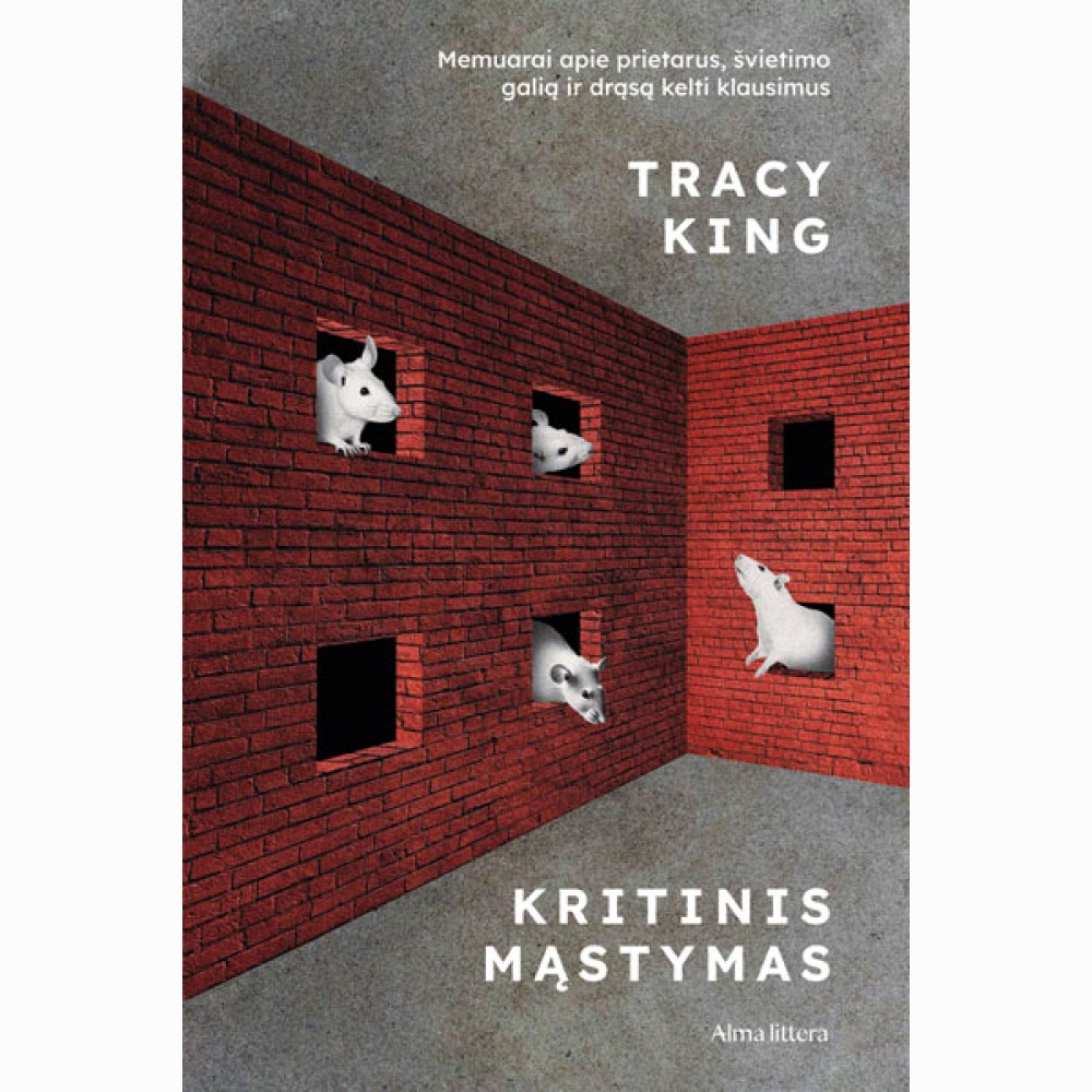 Kritinis mąstymas