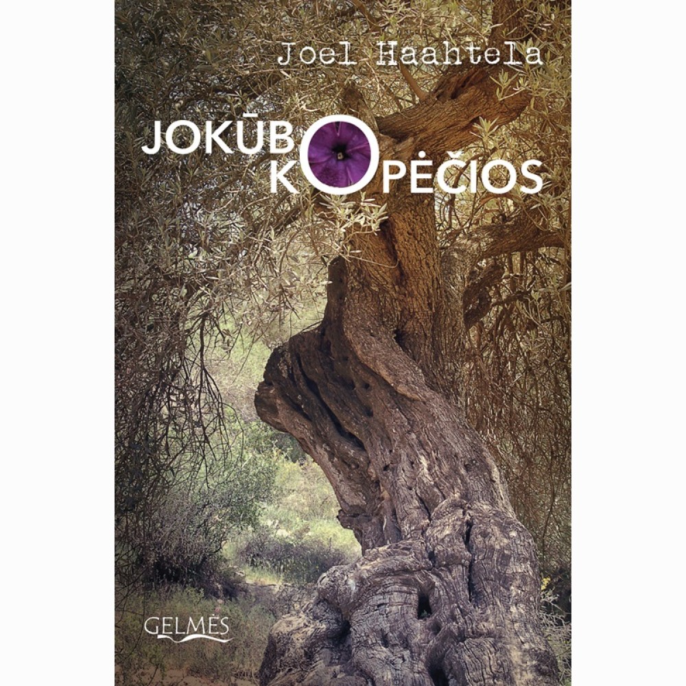 Jokūbo kopėčios