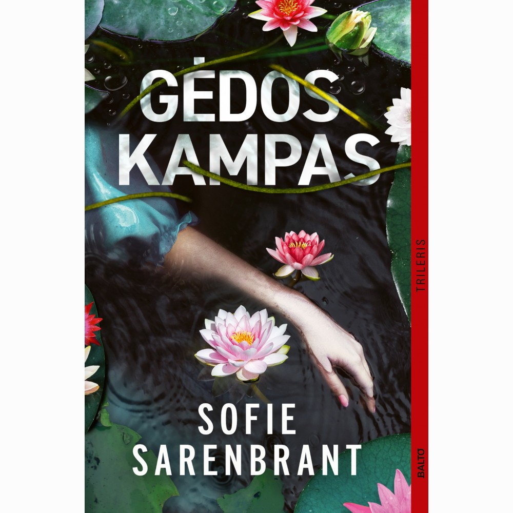 Gėdos kampas