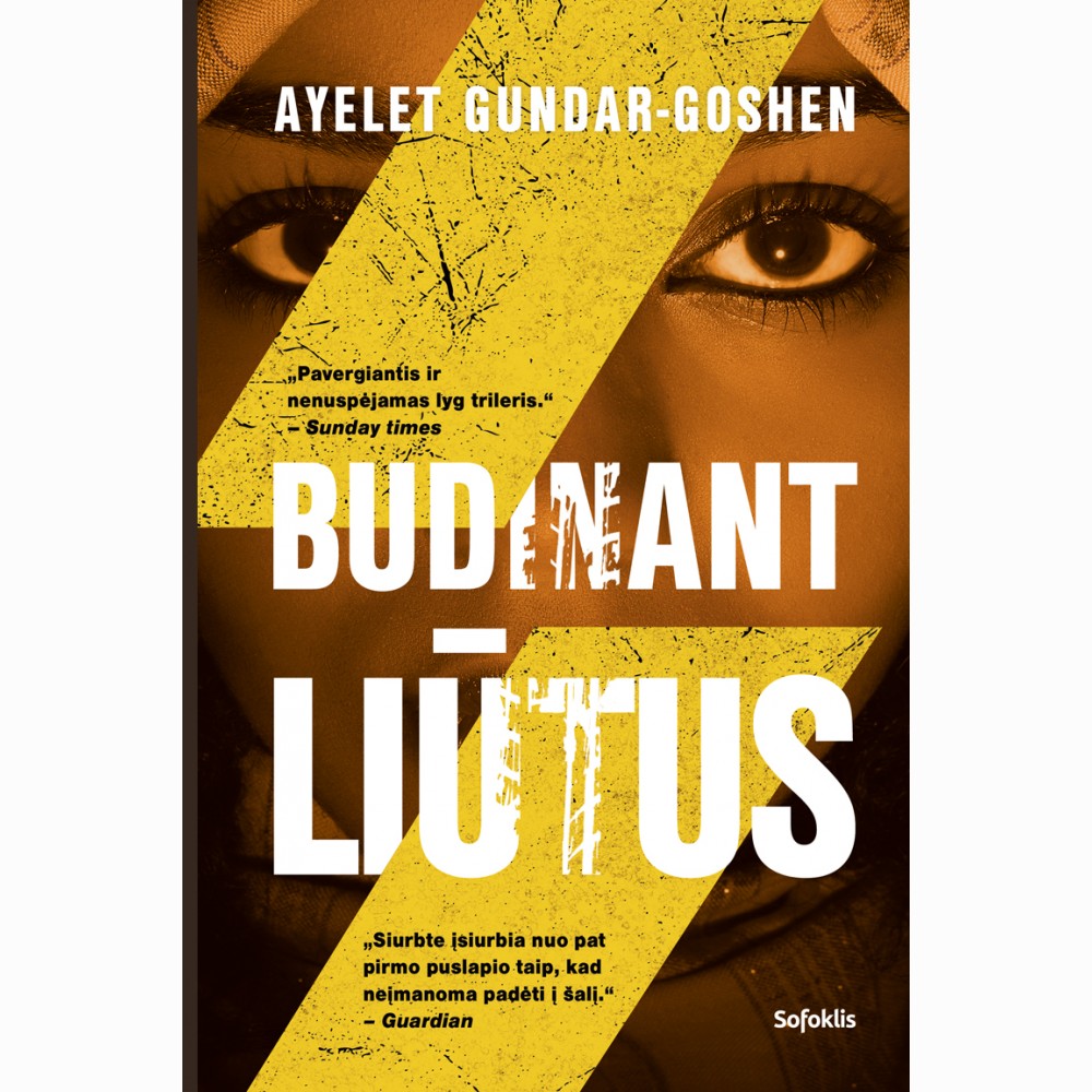 Budinant liūtus