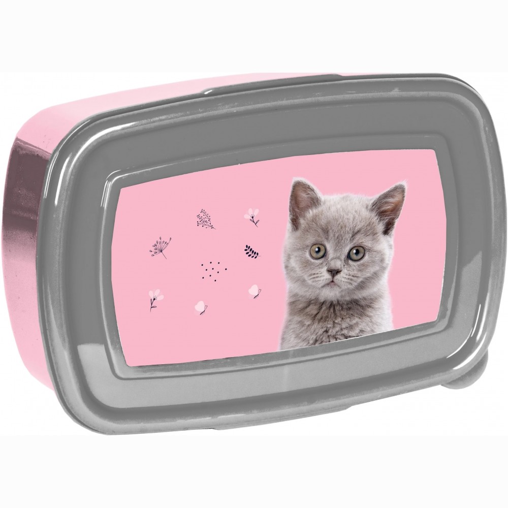 Dėžutė CAT PP24CT-3022