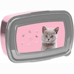 Dėžutė CAT PP24CT-3022