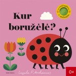 Kur boružėlė?