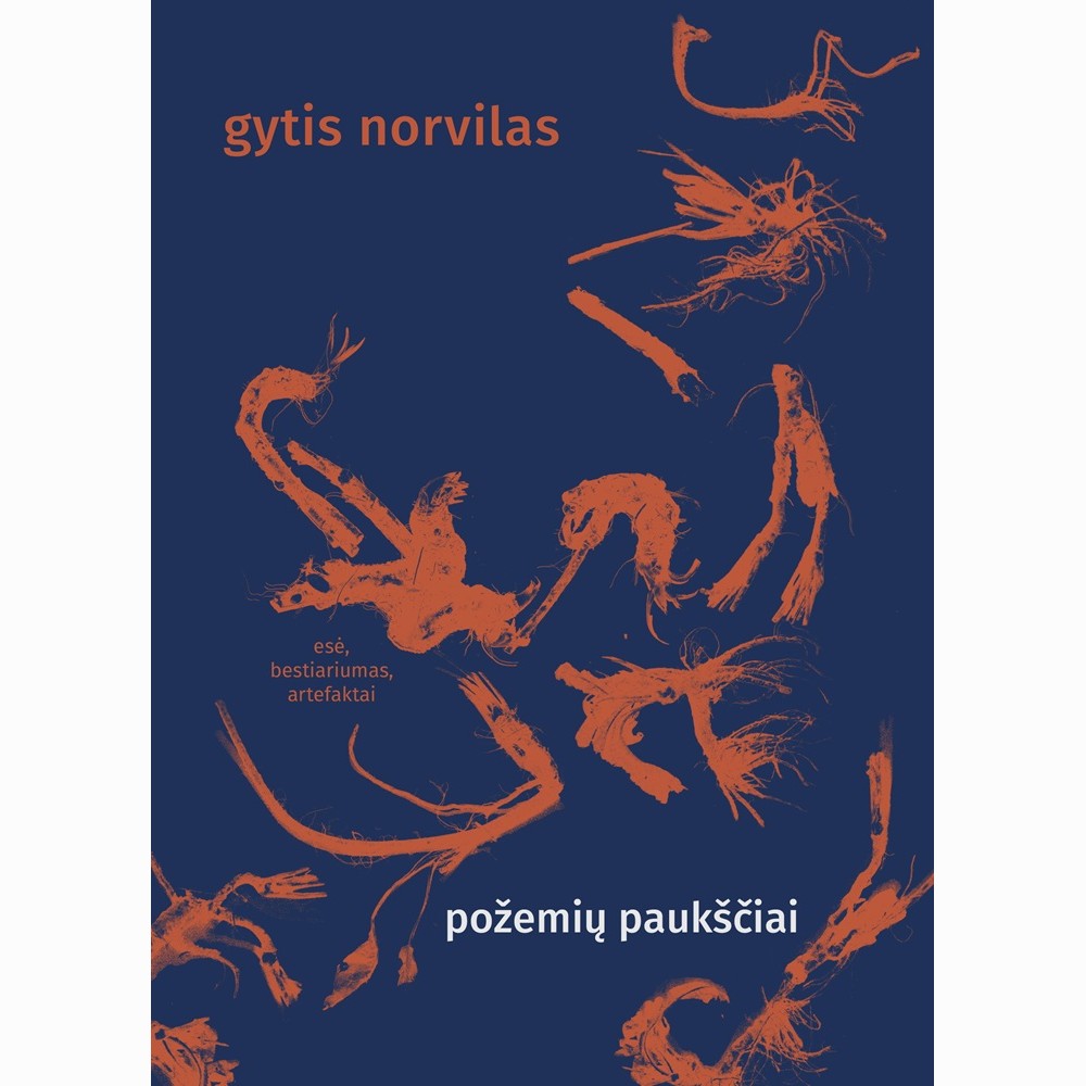 Požemių paukščiai