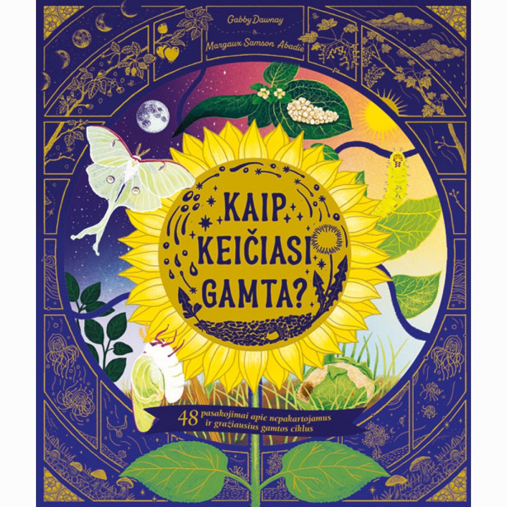 Kaip keičiasi gamta?