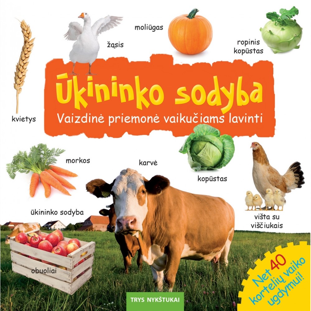40kortelių. Ūkininko sodyba. Vaizdinė priemonė vaikučiams lavinti