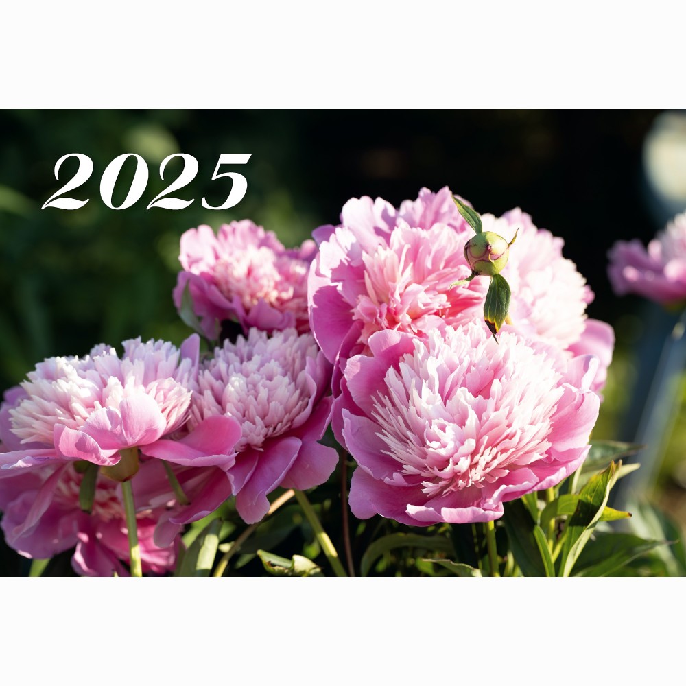 Kalen. 2026 3 dalių LRS /3 rūšys/