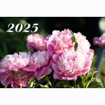 Kalen. 2026 3 dalių LRS /3 rūšys/