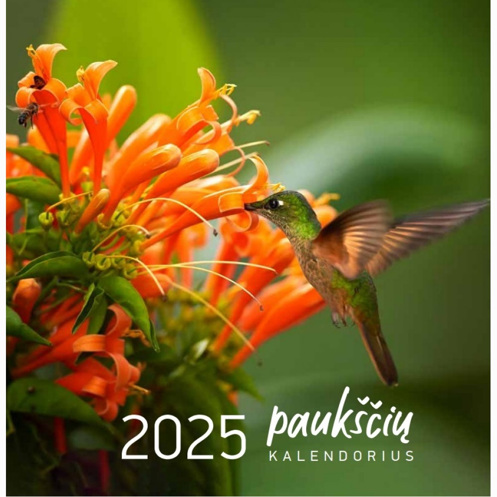 Kal. 2026 Paukščių 20x20 Čeil