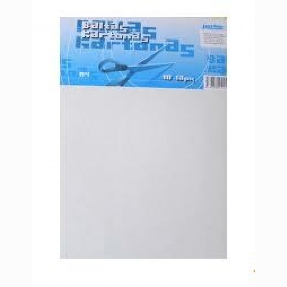 Kartonas baltas A4 10 lapų