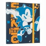 Sonic The Hedgehog žiedinis segtuvas
