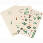 Kokonote Botanical Cacti A6 Užrašų knygutės 3 vnt