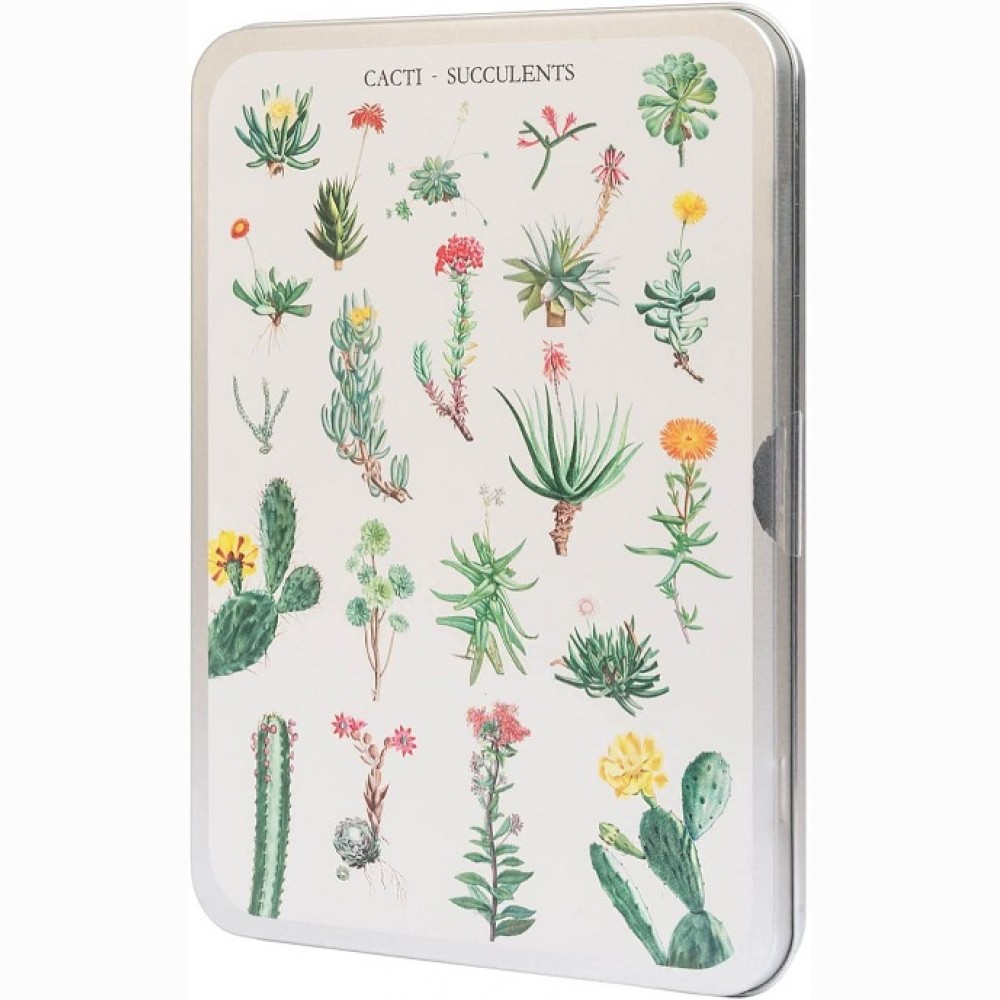 Kokonote Botanical Cacti 100 Detalių dėlionė metalinėje dėžutėje 