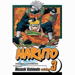 Naruto, Vol. 3
