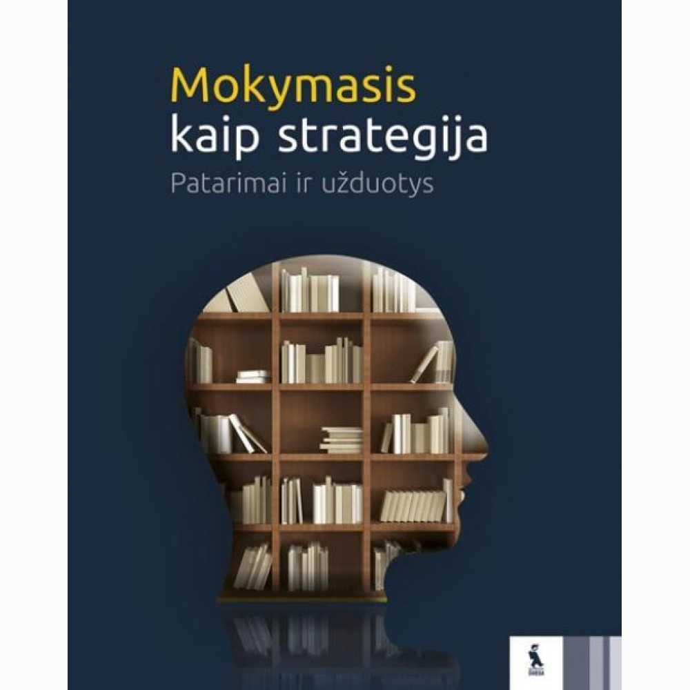 Mokymasis kaip strategija