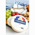 Camembert sūrio kojinės (dydis 40-46, vyriškos)