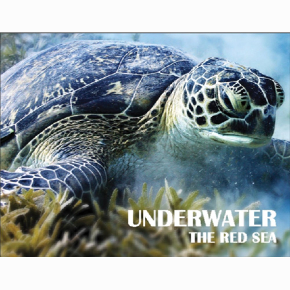 Underwater. The Red Sea  