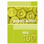 Popier.spalvotas A4 mix 100 lapų PSL4100