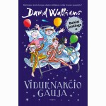 Vidurnakčio gauja