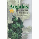 Augalas grąžinantis sveikatą