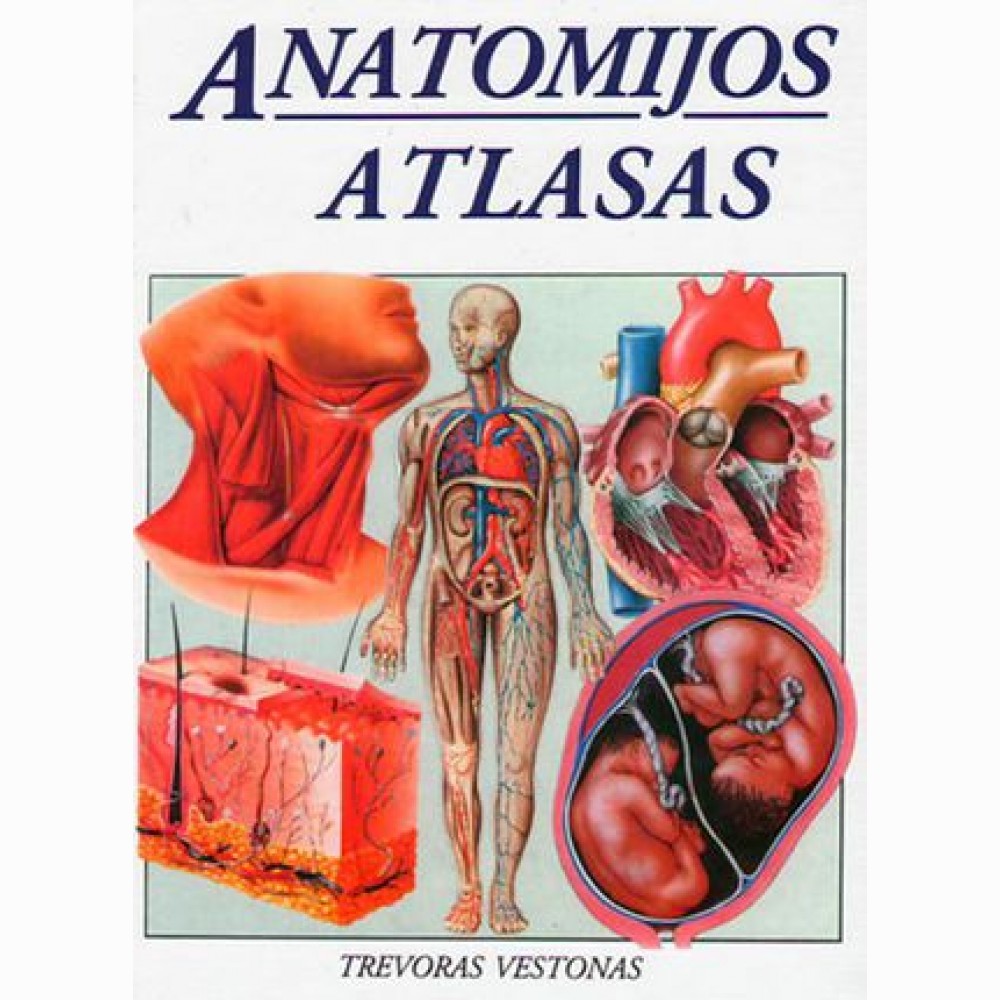 Anatomijos atlasas 
