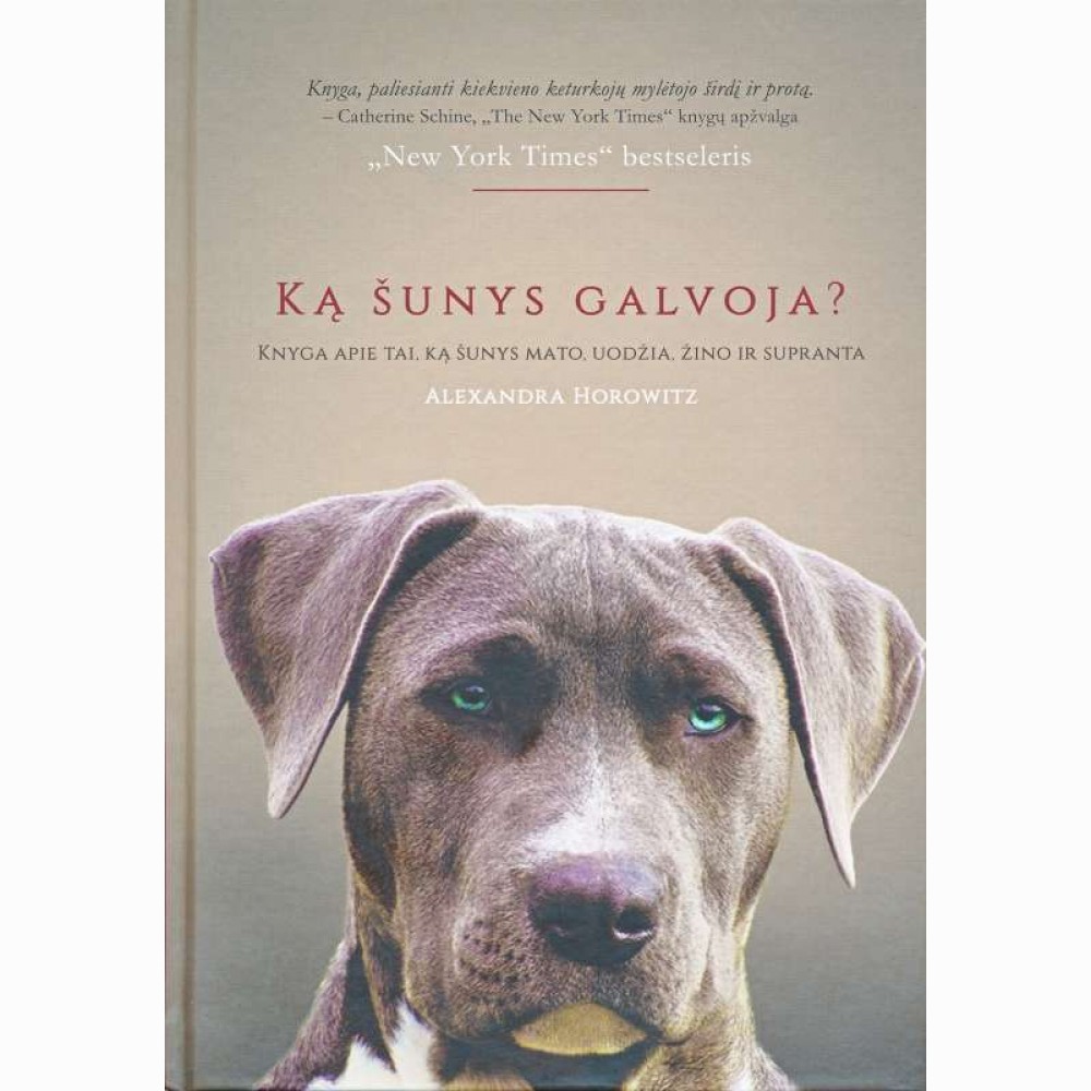 Ką šunys galvoja? 