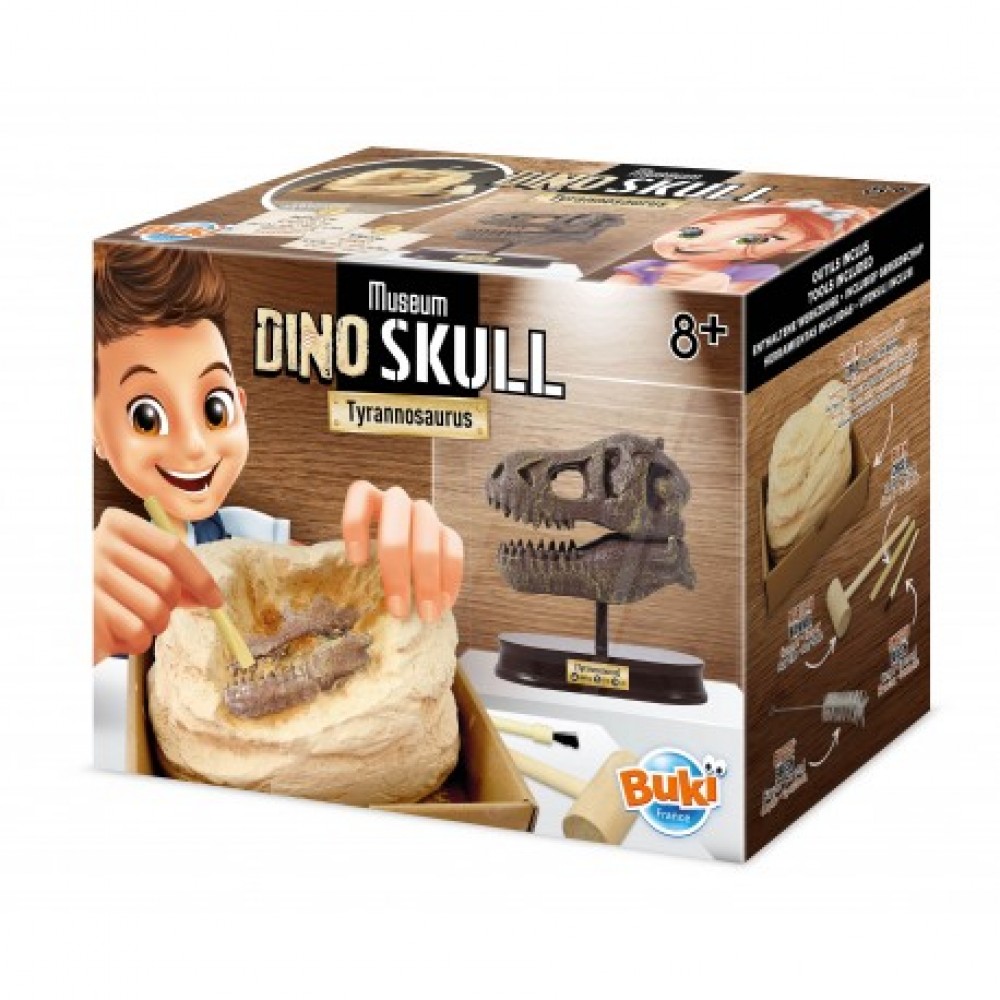 Rink. Tyr. Iškask DINO T-Rex kaukolę /2130/BF