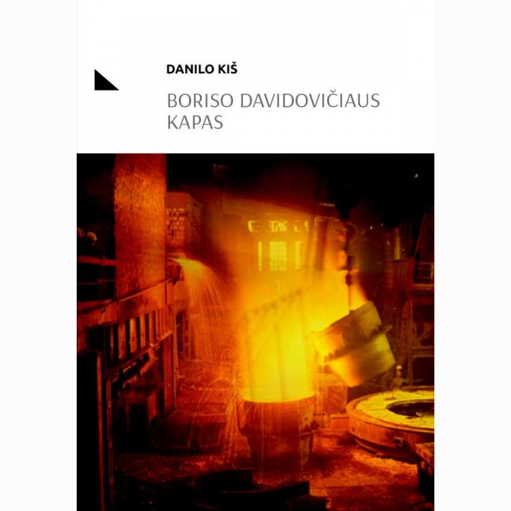 Boriso Davidovičiaus kapas