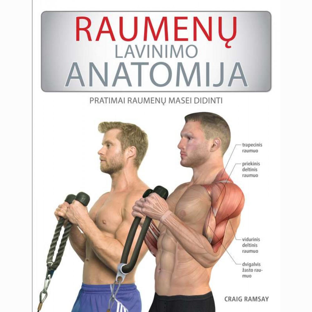 Raumenų lavinimo anatomija
