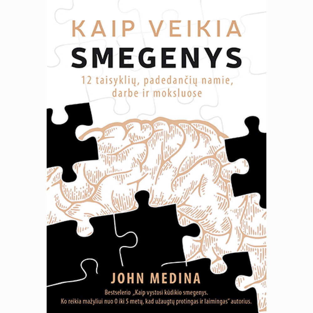 Kaip veikia smegenys. 12 taisyklių, padedančių namie, darbe ir moksluose