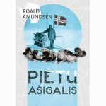Pietų ašigalis