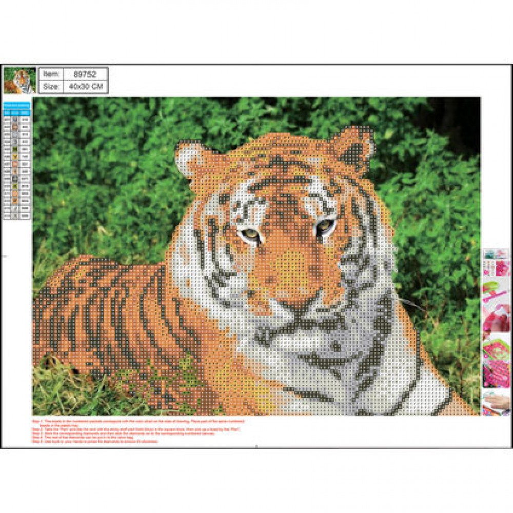 Deimantinė mozaika Tiger 30x40cm