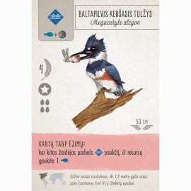 Stalo žaidimas SPARNUOTIEJI Wingspan LT