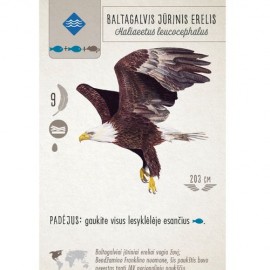 Stalo žaidimas SPARNUOTIEJI Wingspan LT