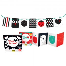 Lavinamasis rinkinys kūdikiui High Contrast Baby Pack 0+/3m+/6m+