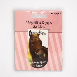 Magnetinis knygos skirtukas 