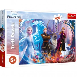 TR 100 det. dėlionė MIX