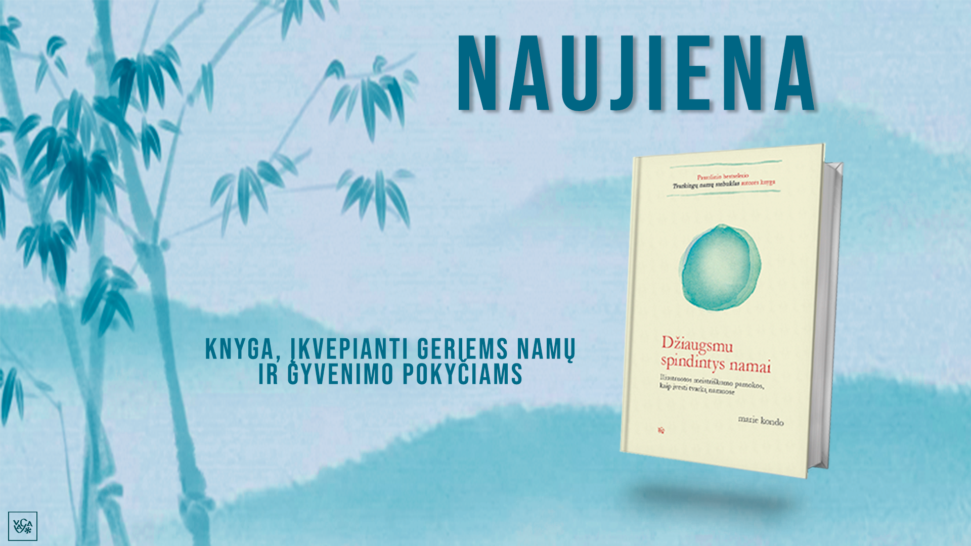 Džiaugsmu spindintys namai - geriems pokyčiams namuose ir gyvenime įkvepianti knyga 